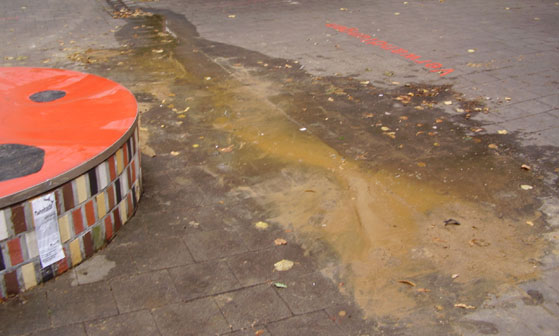 Dehnhaide geht baden