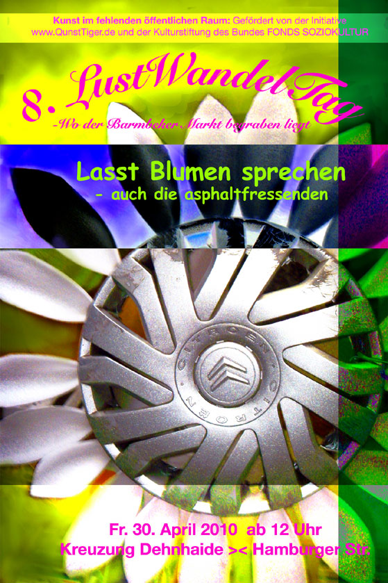 Radkappenblume in Barmbek