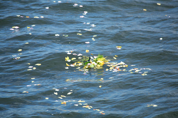 Blumen schwimmend im Meer