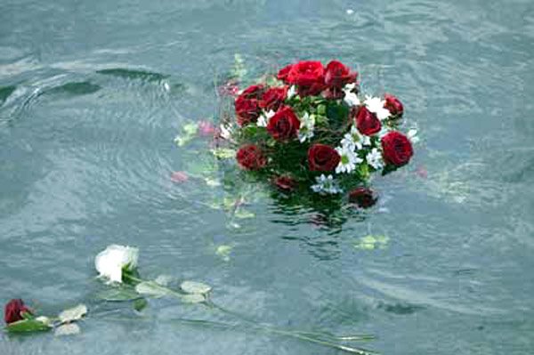 Blumen schwimmend im Meer
