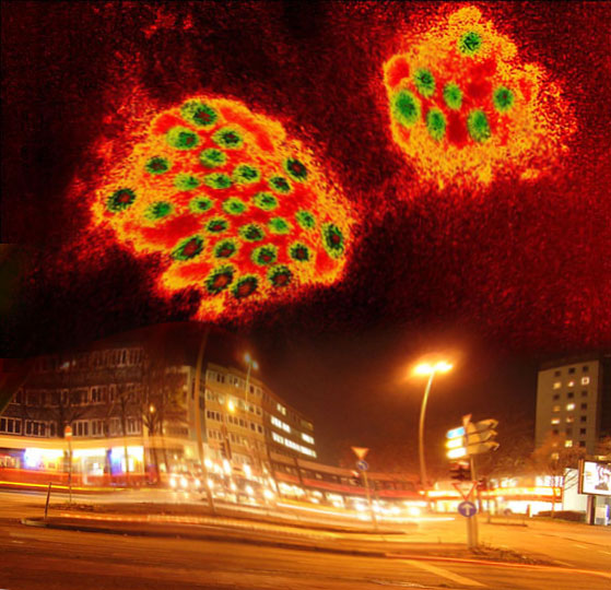 Norovirus in Barmbek