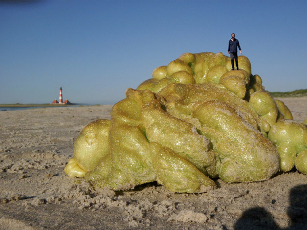 Bauschaum am Strand von St. Peter-Ording, Juli 2012