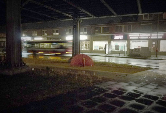 Pfau aus Teerpappe