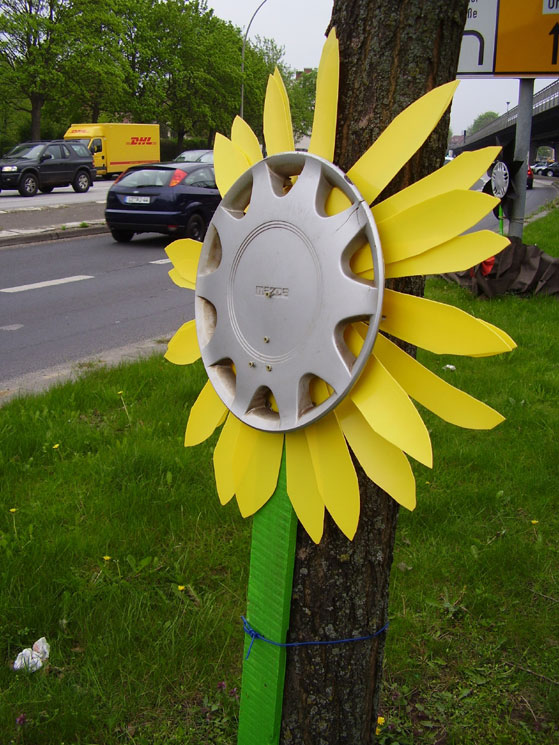 Radkappenblume in Barmbek