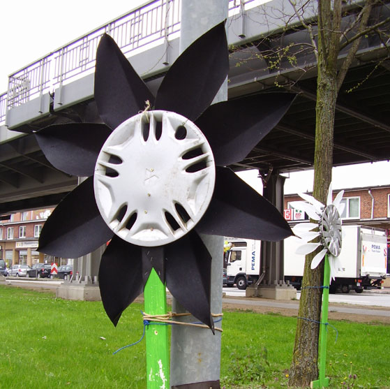 Radkappenblume in Barmbek
