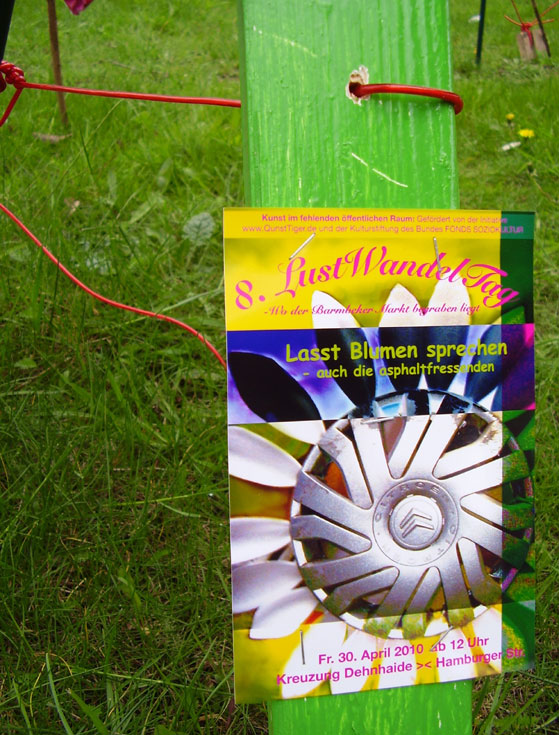 Radkappenblume in Barmbek