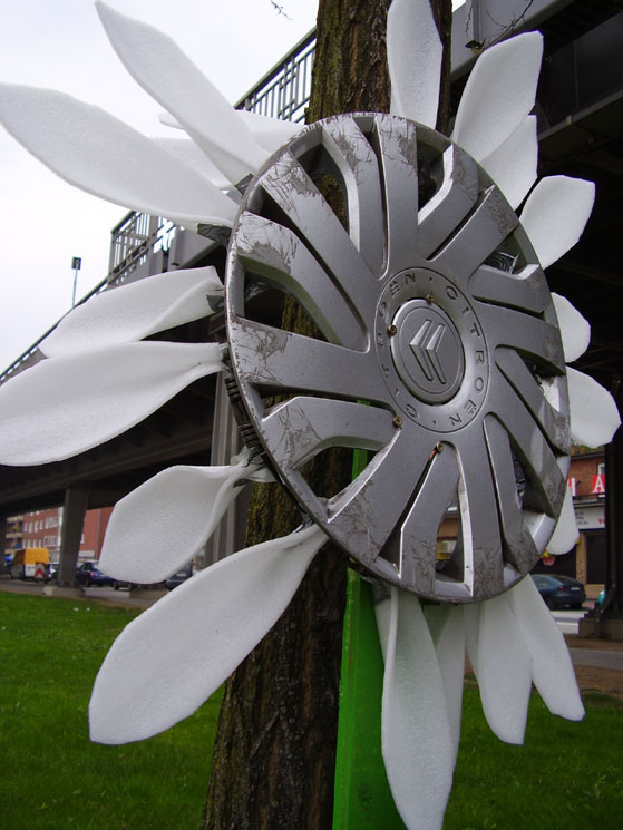 Radkappenblume in Barmbek