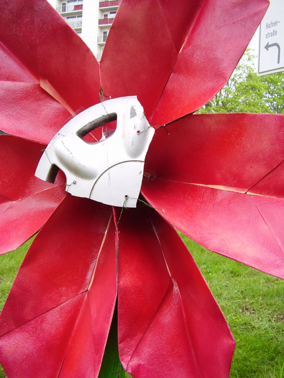 Radkappenblume in Barmbek