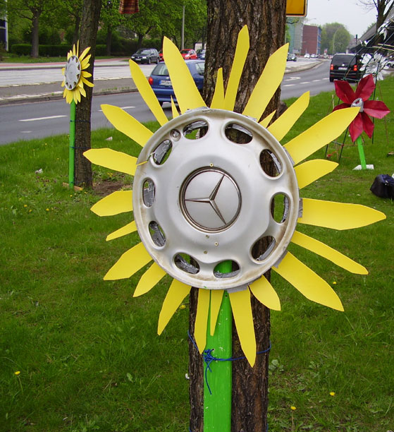 Radkappenblume in Barmbek