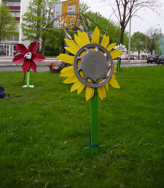 Radkappenblume in Barmbek