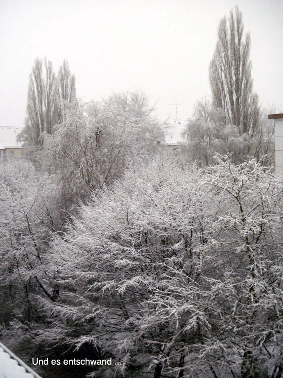 Reh vor Eichen