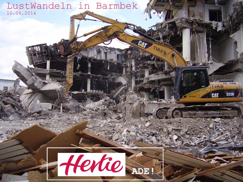 Herti-Ruine in Barmbek