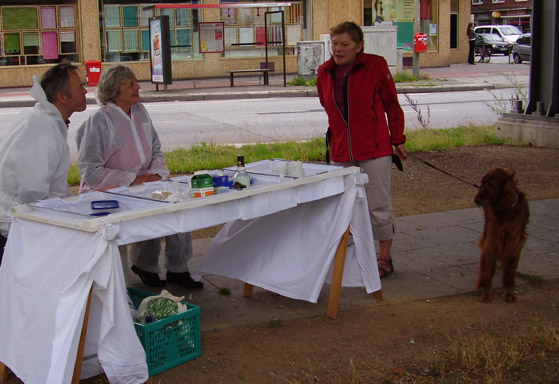 Verkehrsinsel-Picknick in Barmbek